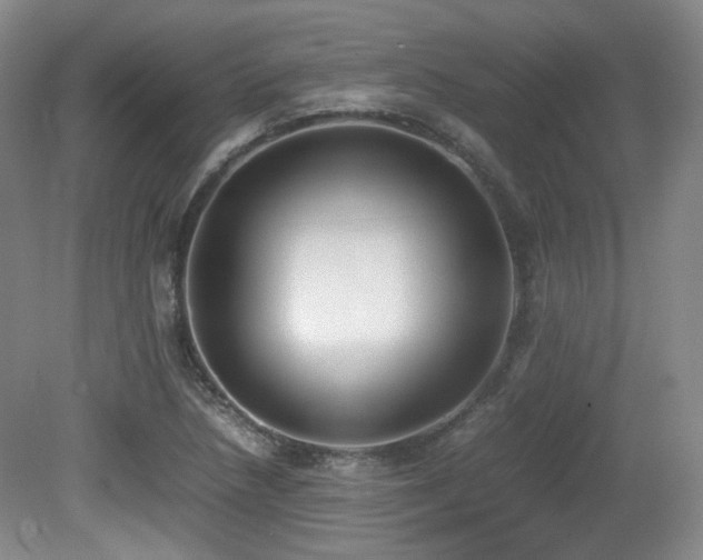 X0000080781218200612151420