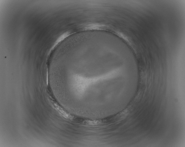 X0000080781219200612151420