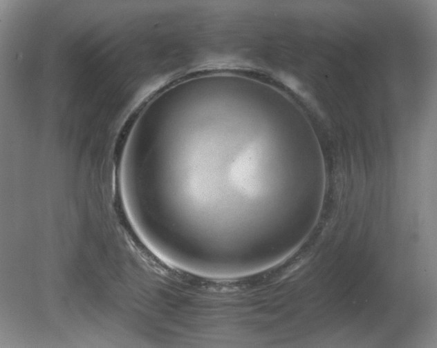 X0000080781221200612151420