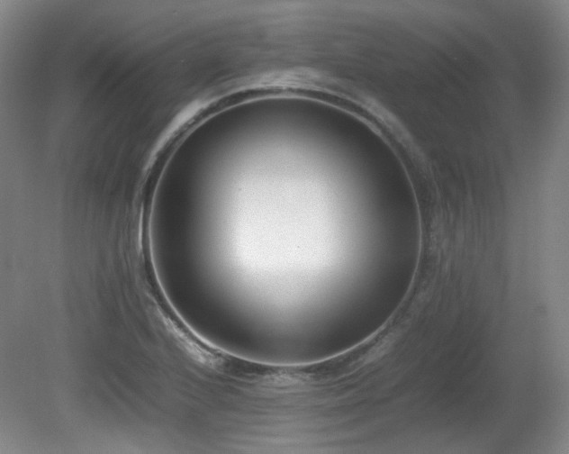 X0000080781224200612151420