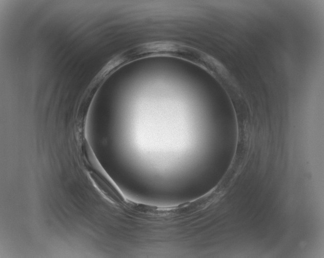 X0000080781225200612151420