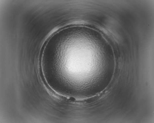 X0000080781229200612151420