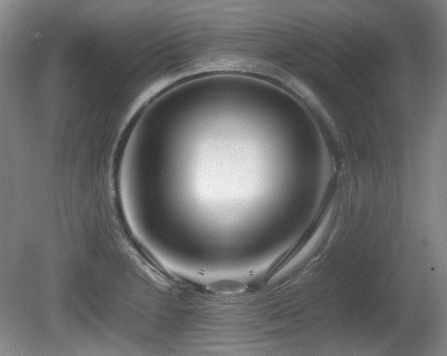 X0000080781230200612151420