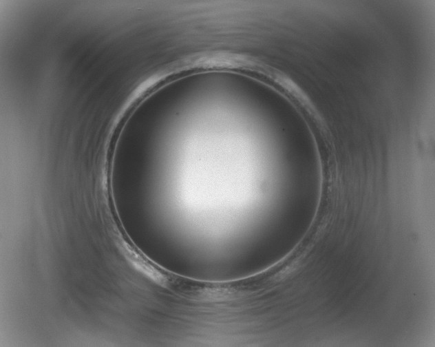X0000080781232200612151420