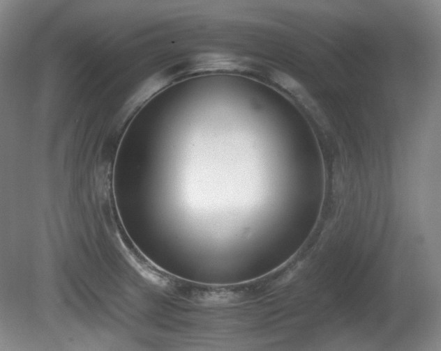 X0000080781233200612151420