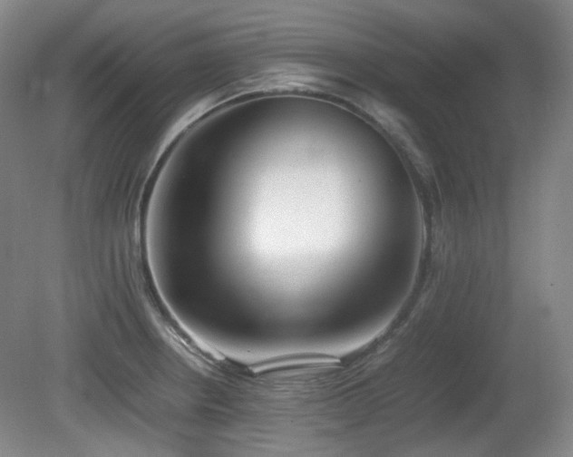 X0000080781234200612151420