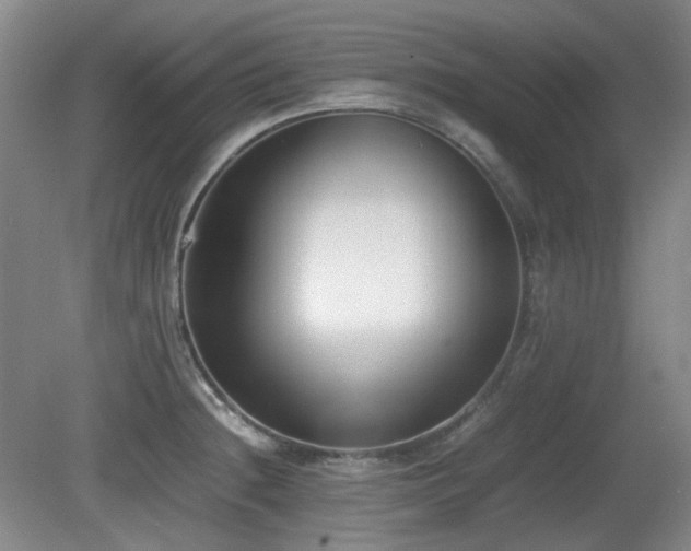 X0000080781236200612151420