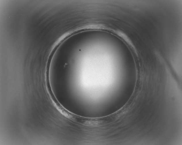 X0000080781237200612151420