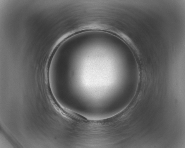 X0000080781238200612151420