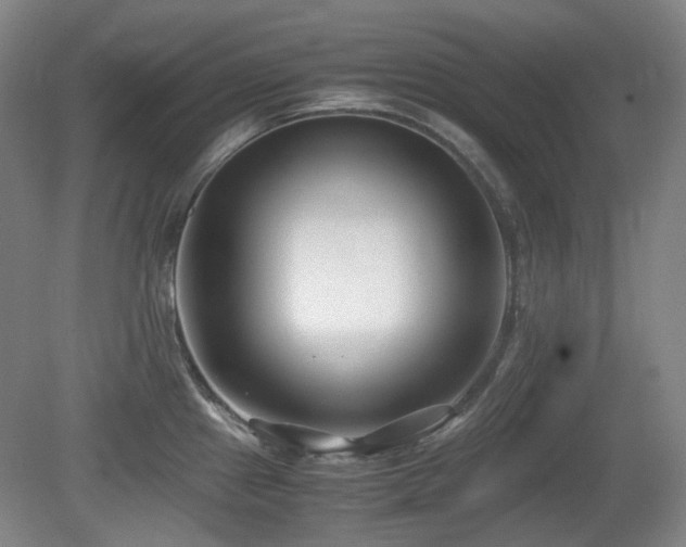 X0000080781241200612151420