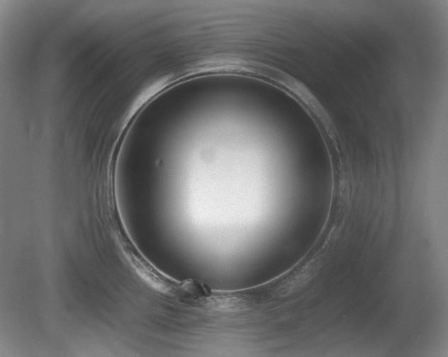 X0000080781242200612151420