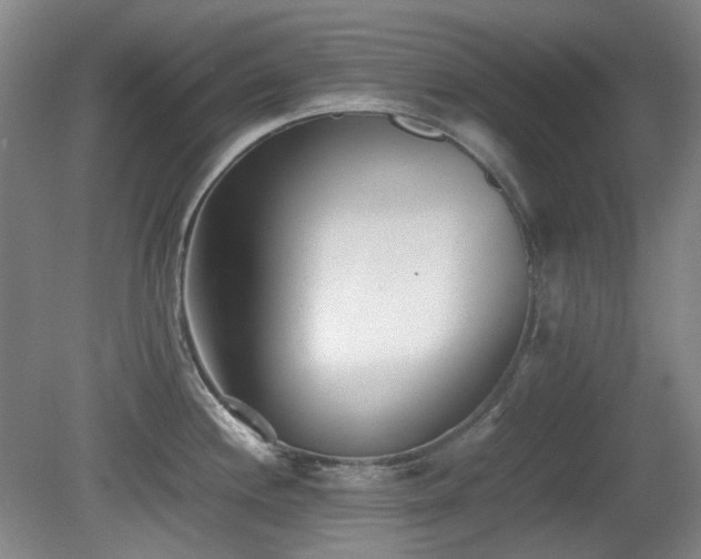 X0000080781244200612151421