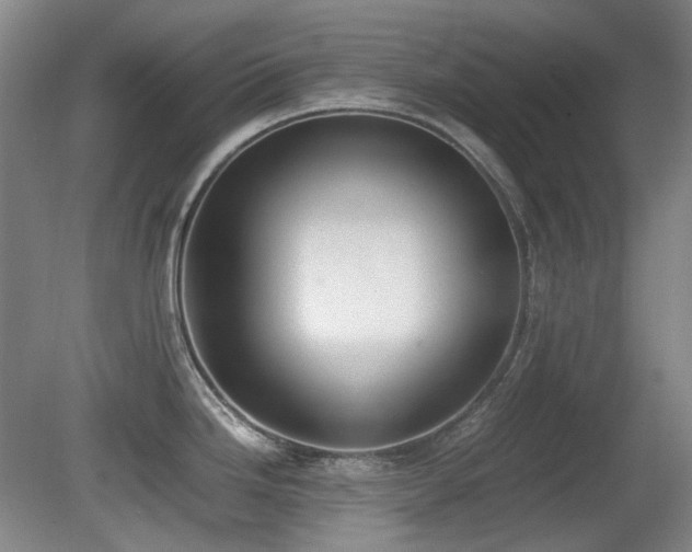 X0000080781246200612151421