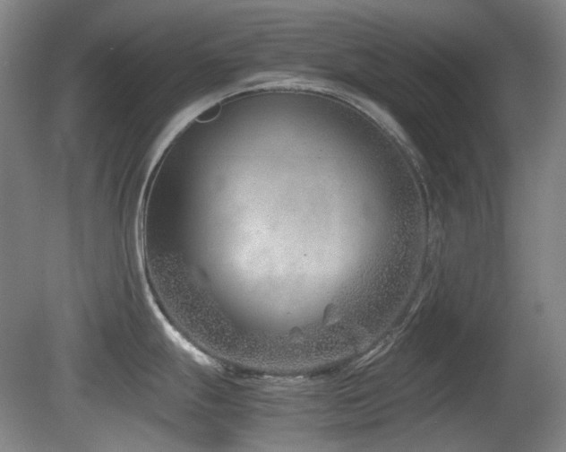 X0000080781247200612151421