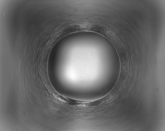 X0000080781249200612151420