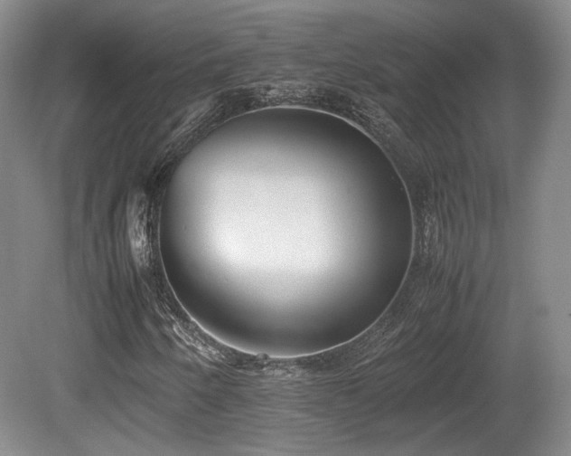 X0000080781250200612151420