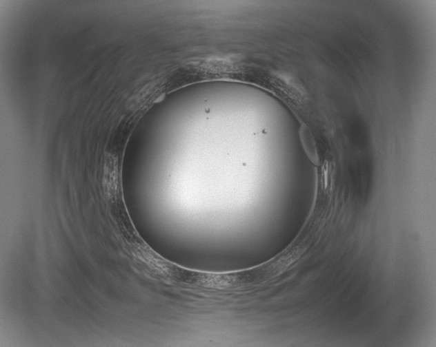 X0000080781251200612151420