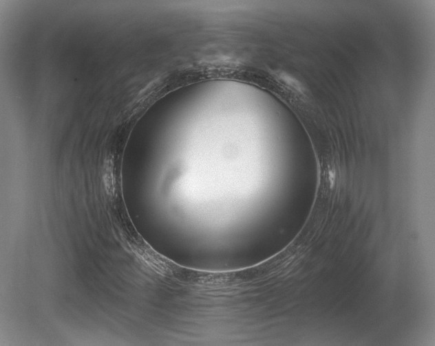 X0000080781252200612151420