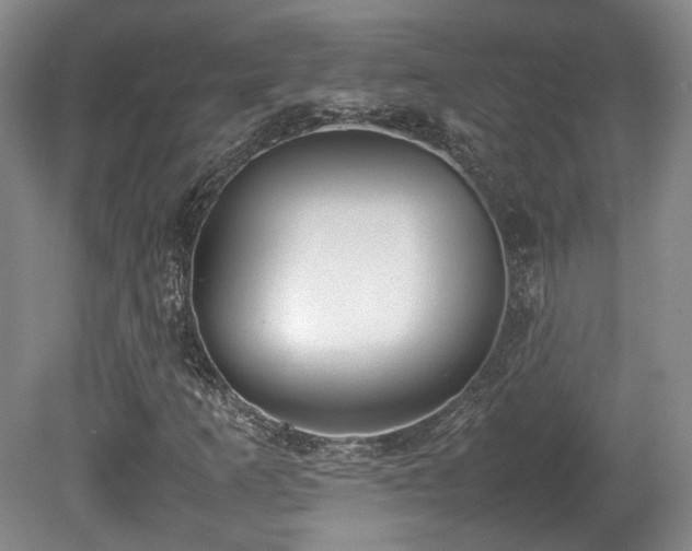 X0000080781253200612151420