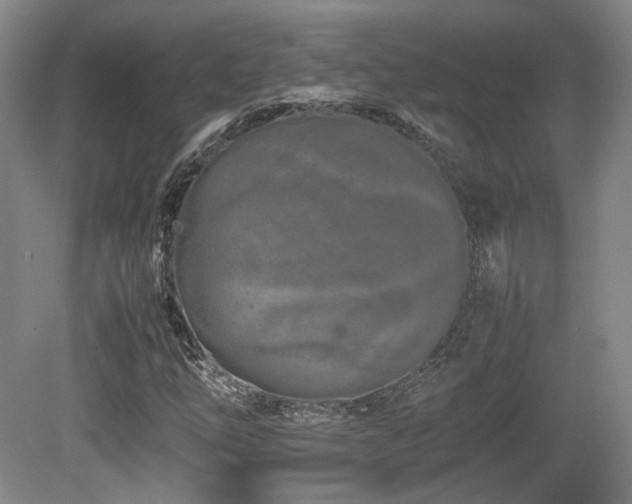X0000080781254200612151420