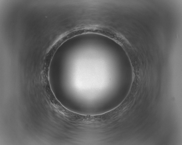 X0000080781256200612151420