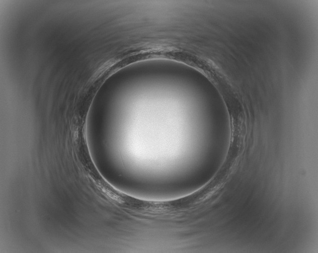 X0000080781257200612151420