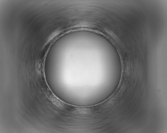 X0000080781258200612151420