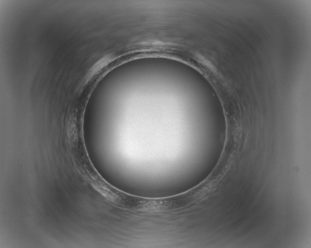 X0000080781259200612151420