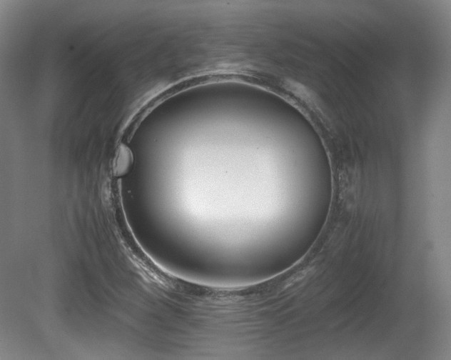 X0000080781260200612151420