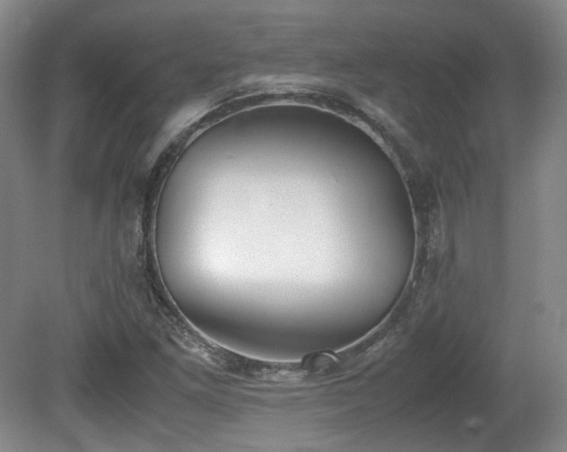 X0000080781261200612151420