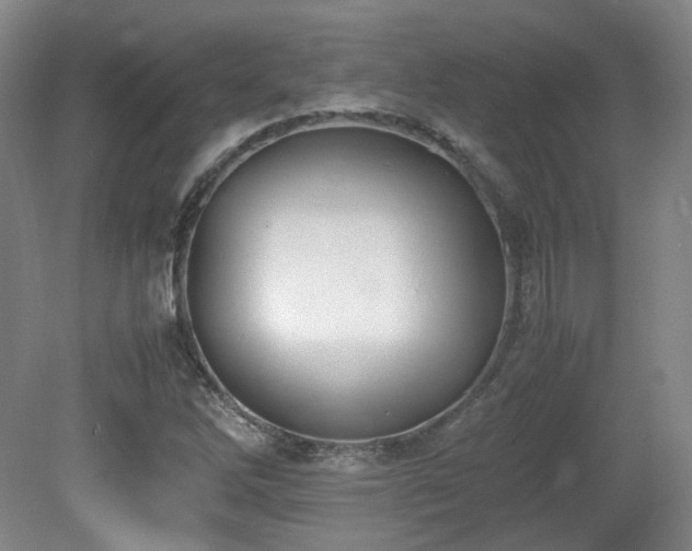 X0000080781262200612151420