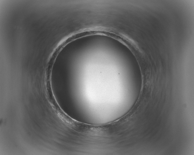X0000080781264200612151420