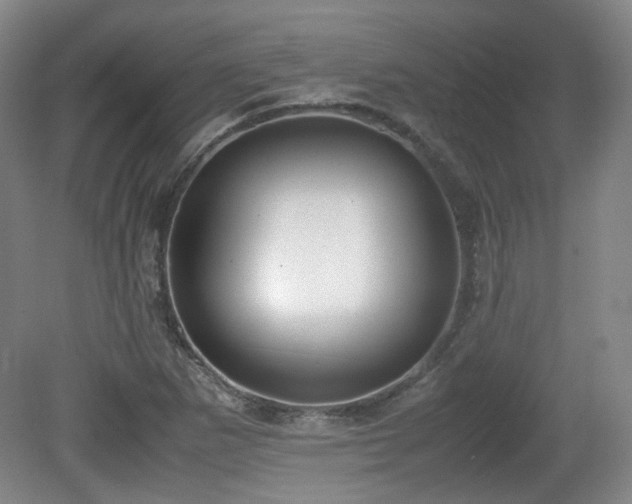 X0000080781265200612151420