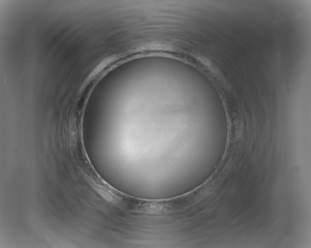 X0000080781266200612151419