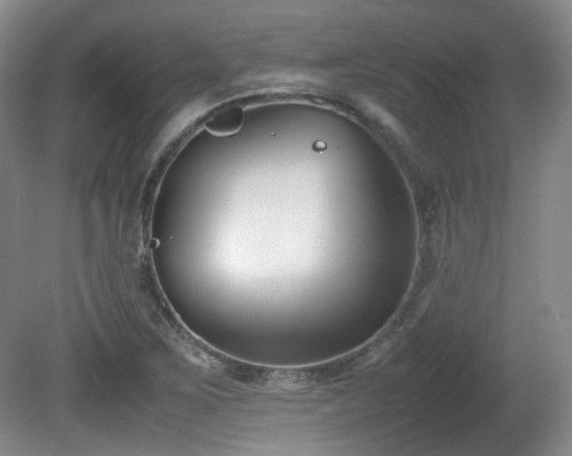 X0000080781267200612151419