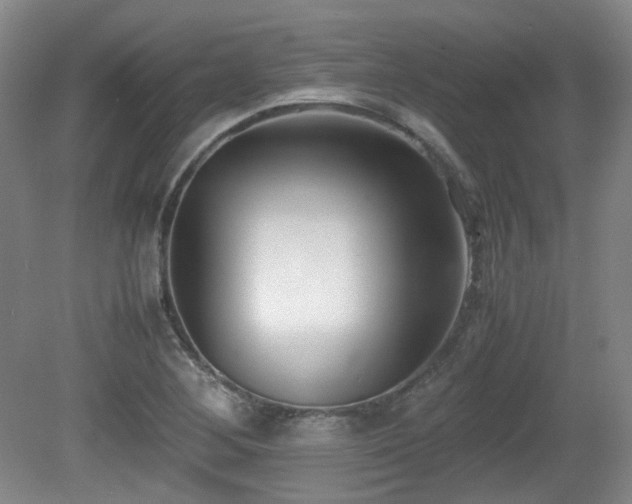 X0000080781268200612151419