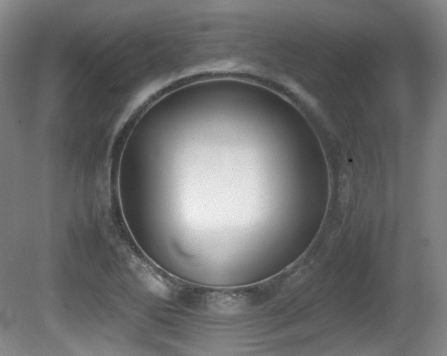 X0000080781270200612151419