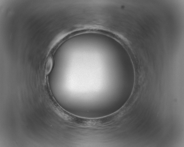 X0000080781271200612151419