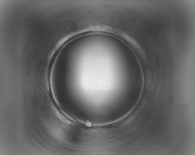 X0000080781272200612151419