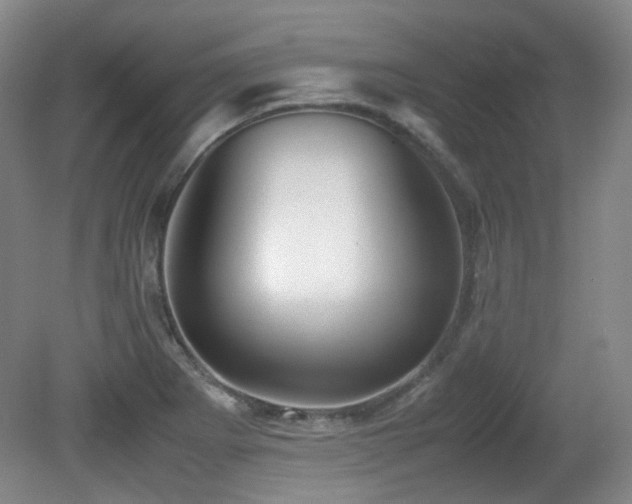 X0000080781273200612151419