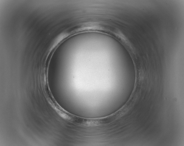 X0000080781274200612151419