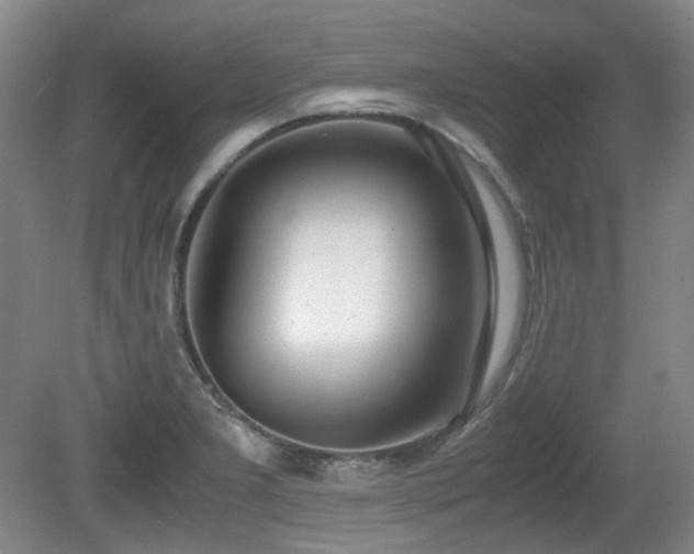 X0000080781277200612151419