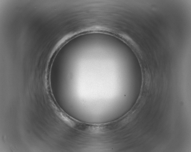 X0000080781278200612151419