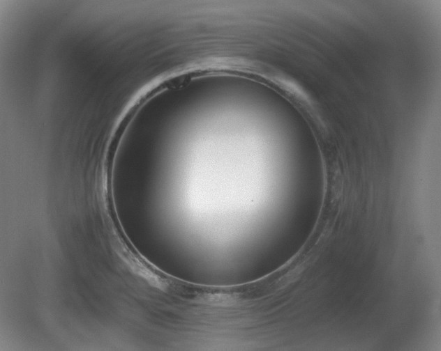X0000080781280200612151419