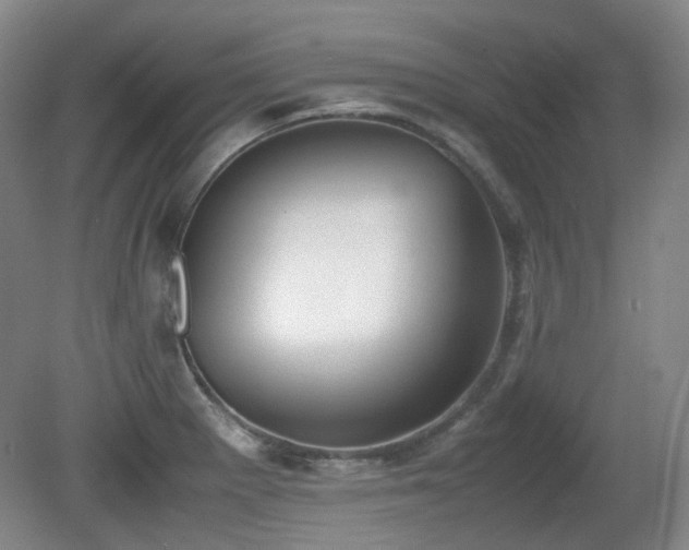 X0000080781281200612151419
