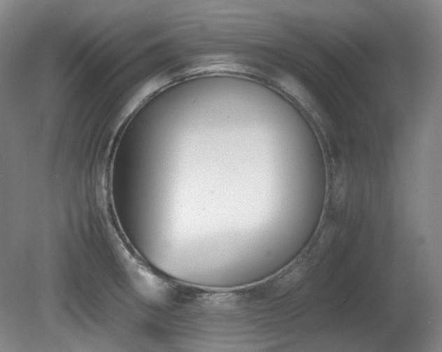 X0000080781282200612151419
