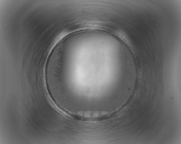 X0000080781283200612151419