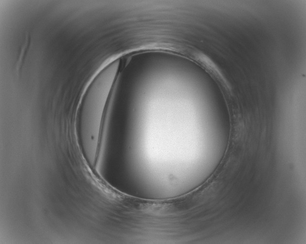 X0000080781284200612151419