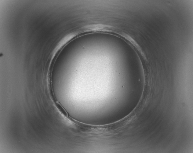 X0000080781285200612151419