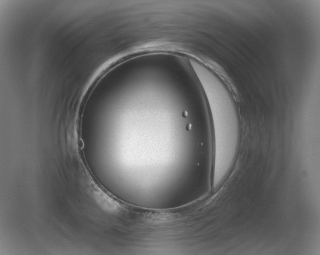 X0000080781288200612151419